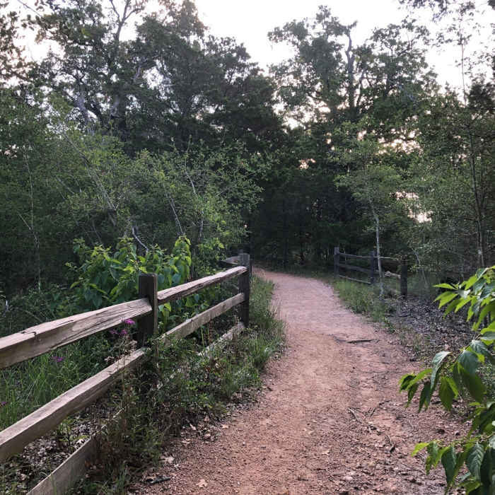 Near Coyote Road