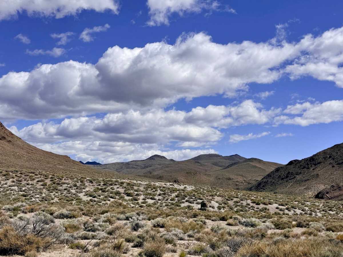 Bank Spring - FS 44450 photo 5