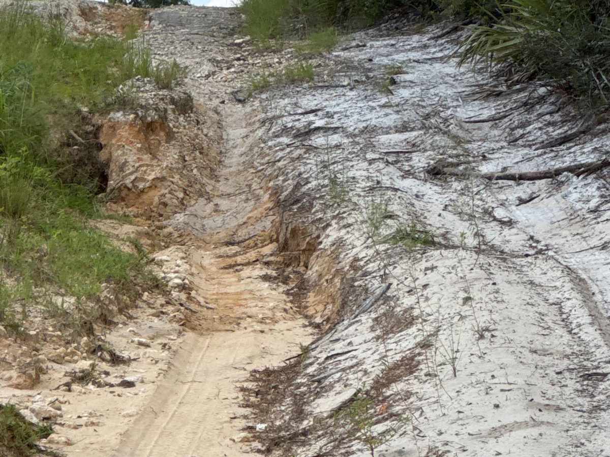 Ocala National Forest Road 33-9.41 photo 2