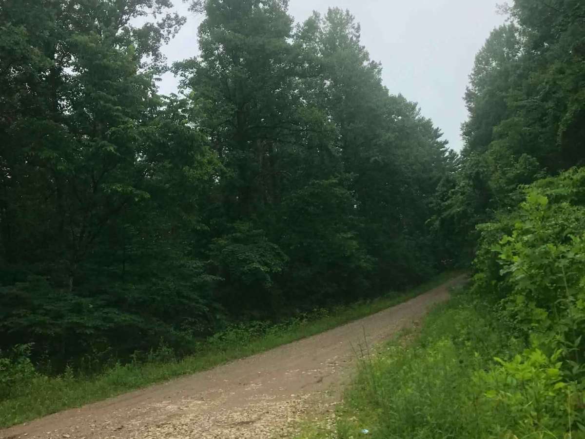 Vernon-Painter Creek Road photo 3