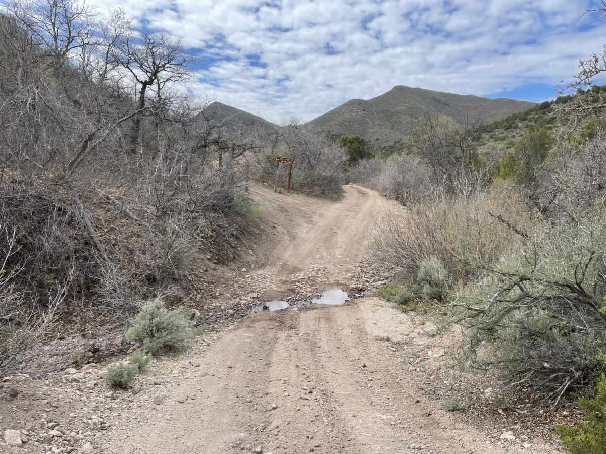East Fork of Beaver Dam Wash photo 5