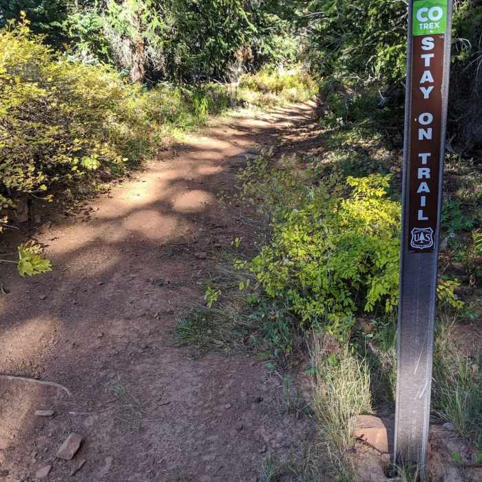 Marker about 200-yards down un-marker link trail Near Berry Creek Tour