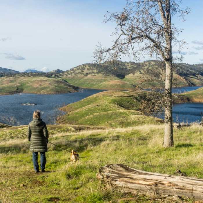 Near Heron Point Loop Hike