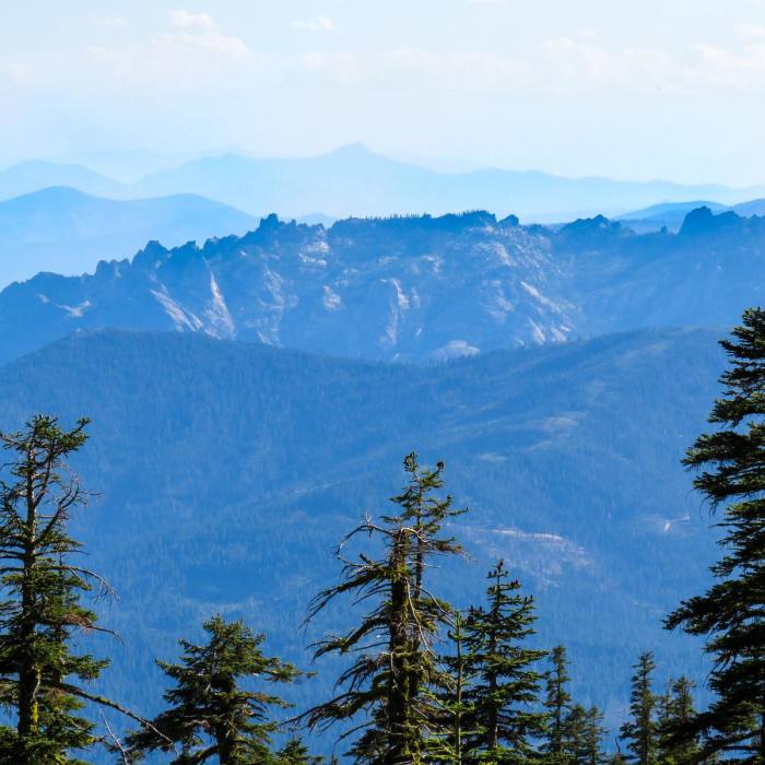 Near Old Ski Bowl via Snow Bunny Flat Trail