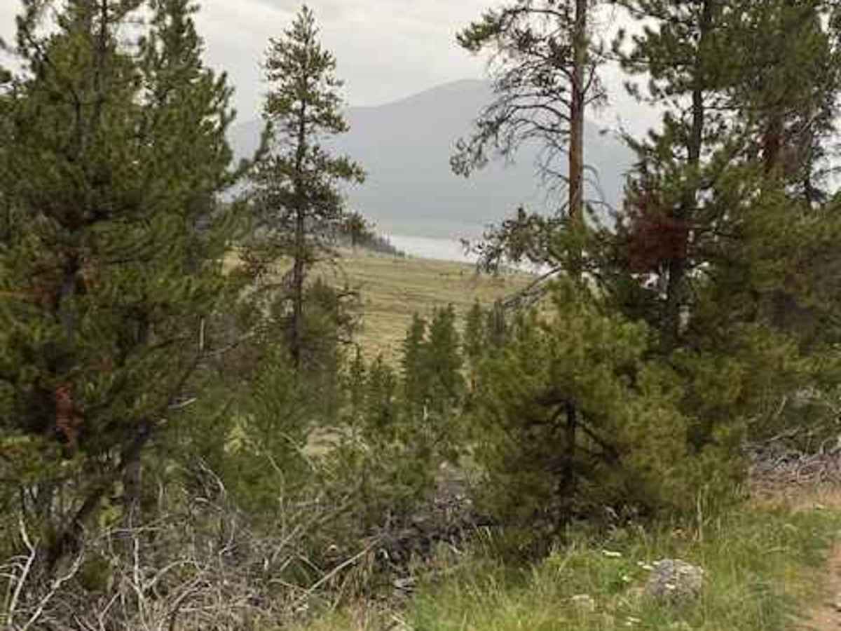 Texas Creek Woodsy Loop Trail trail photo