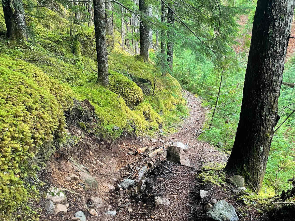Side 1 trail photo