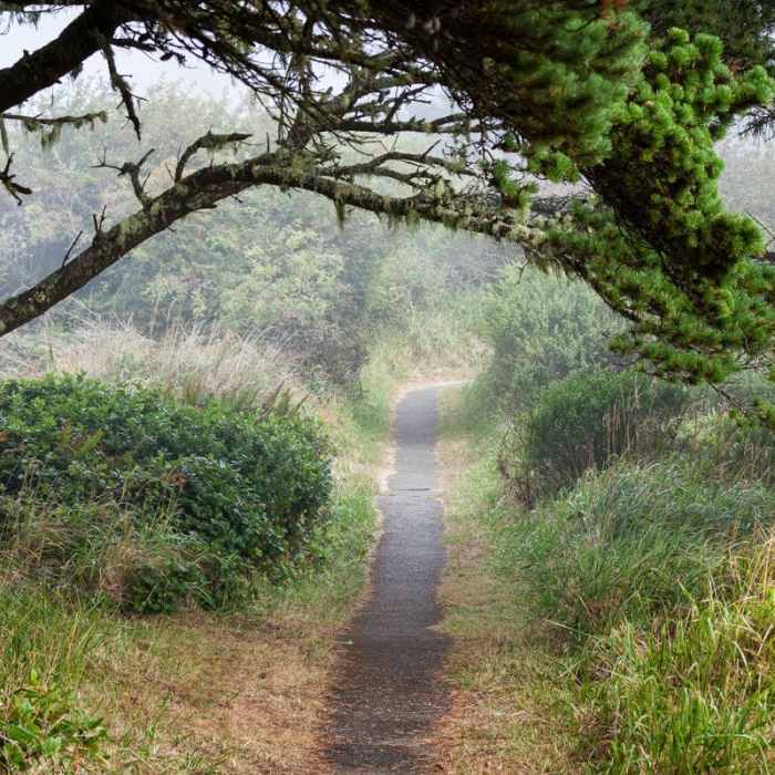 Near Port Orford Heads State Park Trails