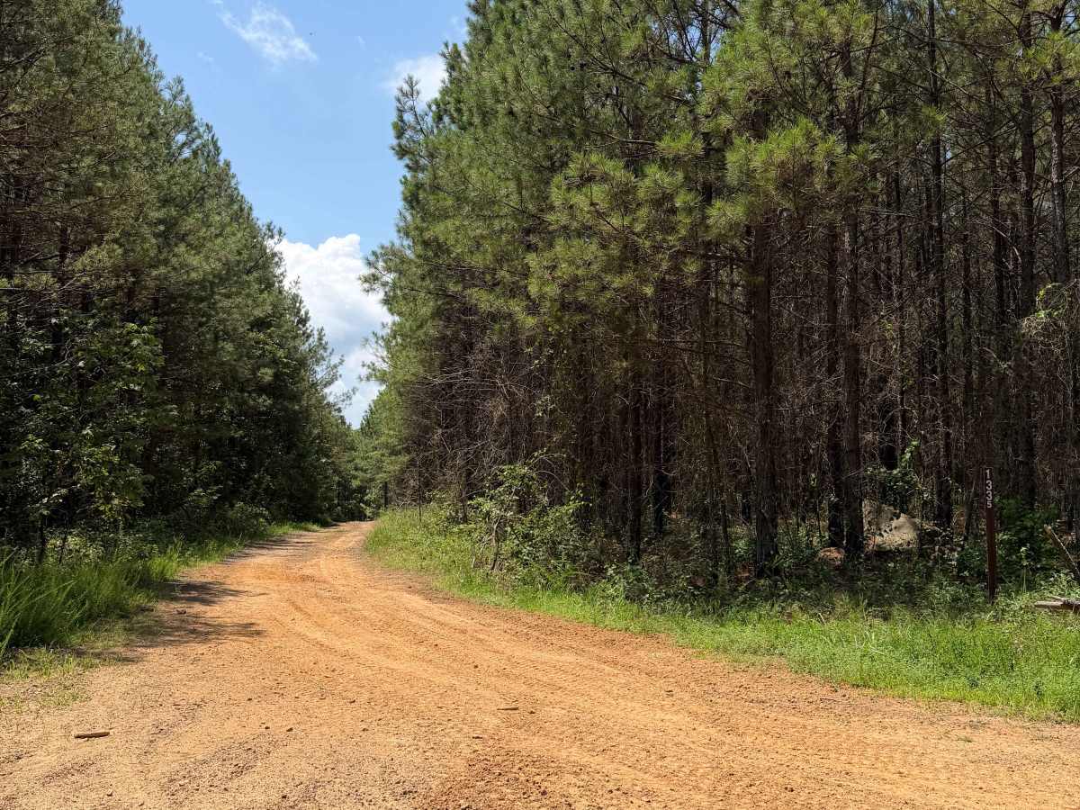 Flex City trail photo