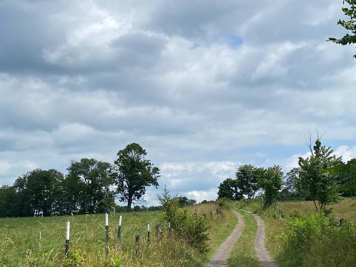 Calvert Shaver trail photo