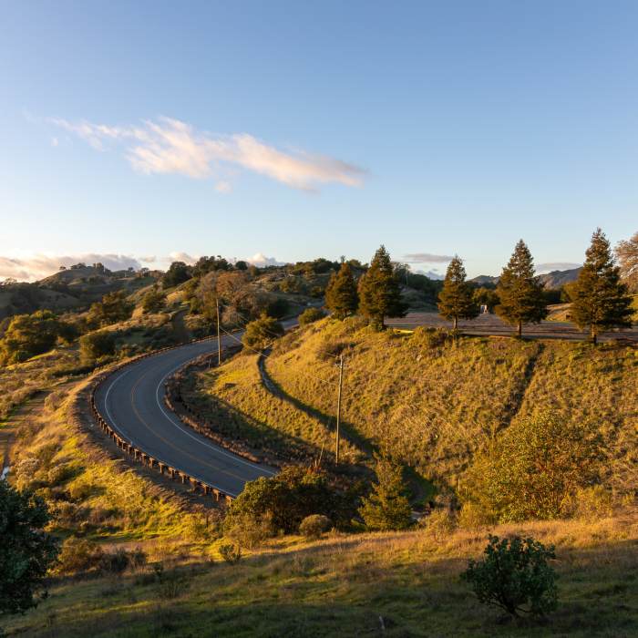 Near Boar Scat Trail