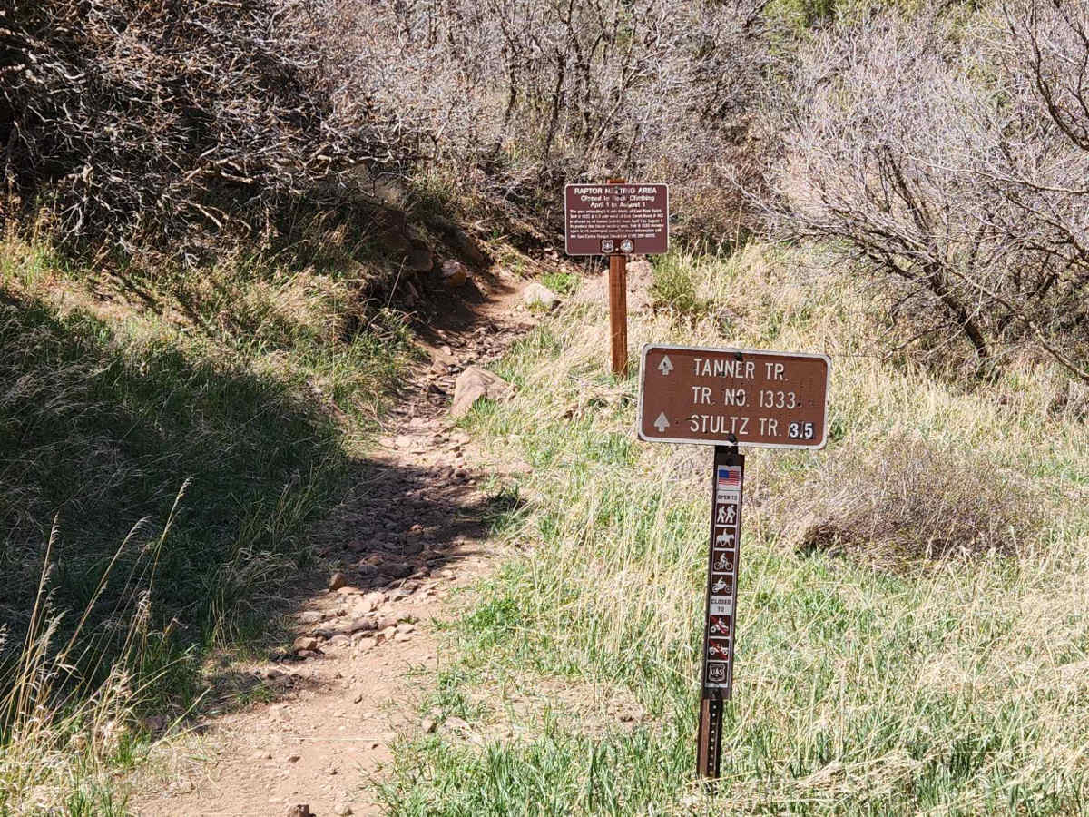 East Bear Trail trail photo