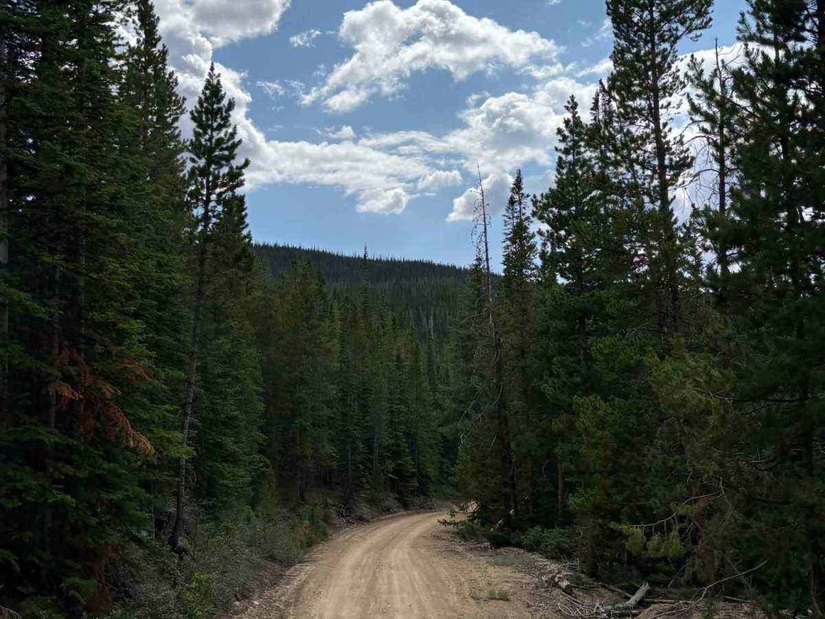 East Branch Road photo 2