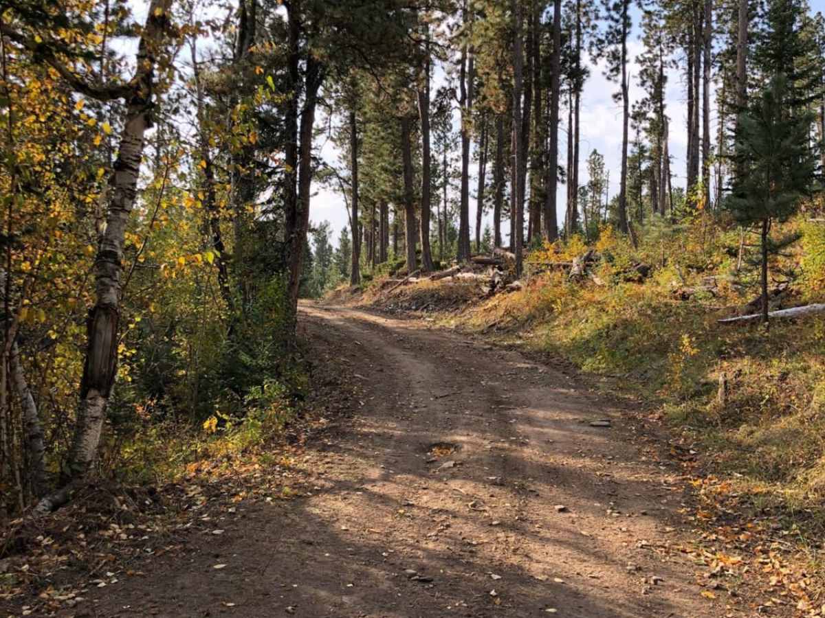 White House Gulch FS RD 477 photo 3