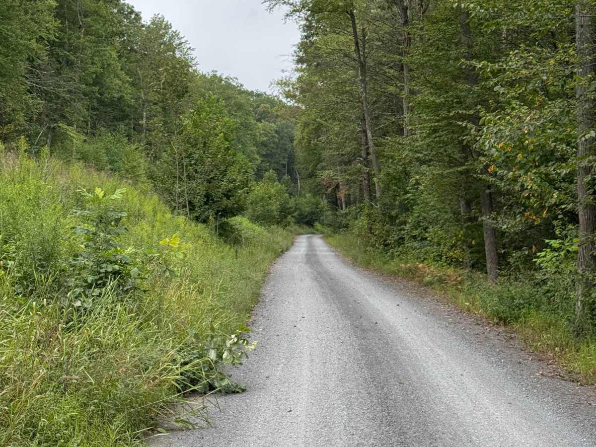 Hagerman Run Road photo 5