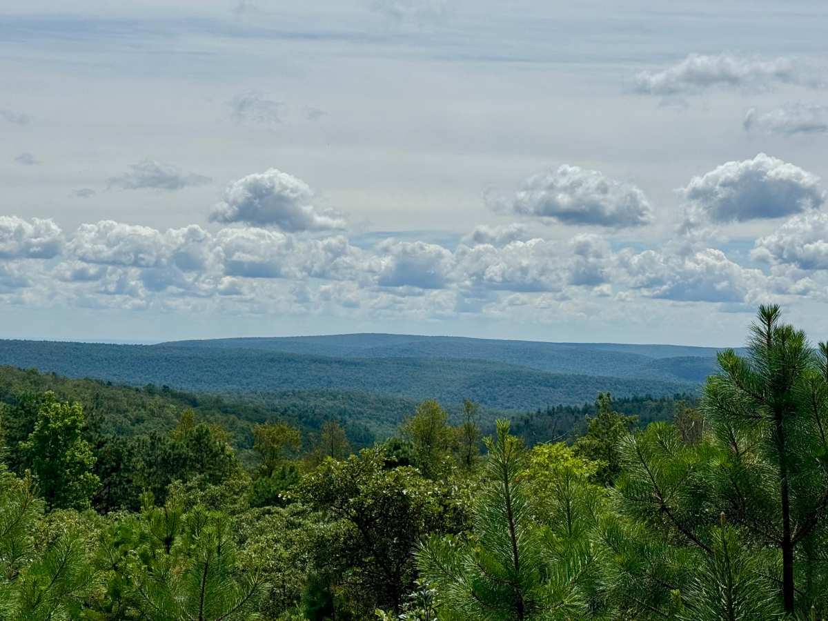 Stillhouse Hollow Road photo 6