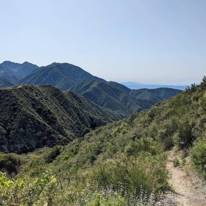 Near Mt Lukens Road Saddle Out-and-Back