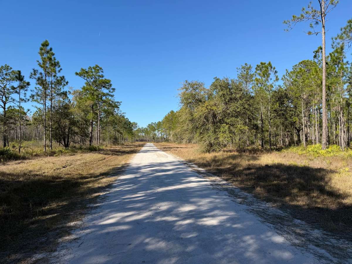 Tillman Lake Road photo 2