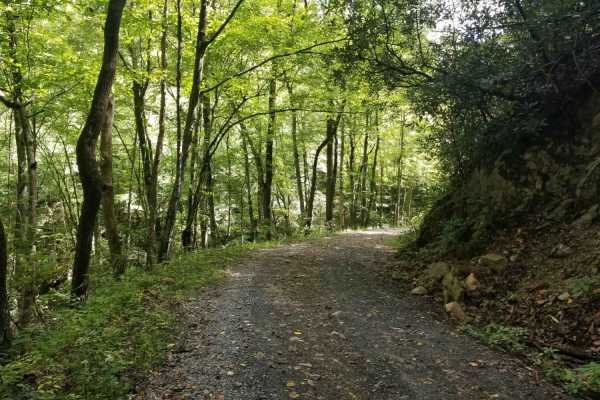 Jacobs Creek