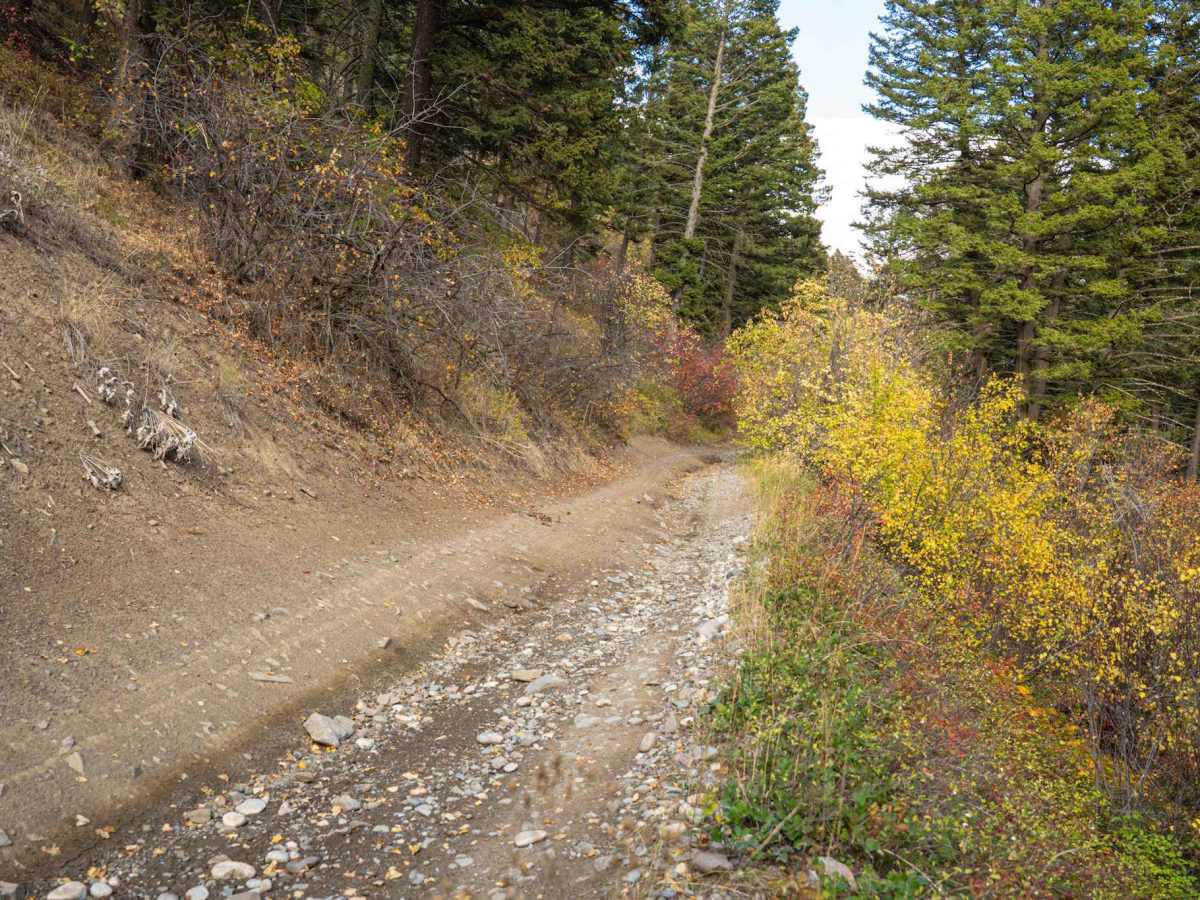 Flathead Pass photo 2