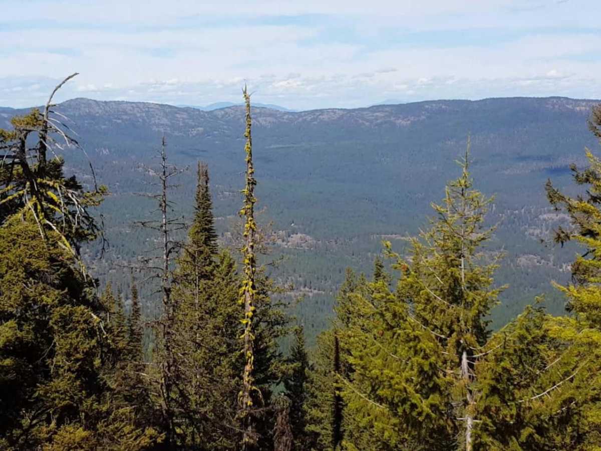 South Huckleberry2 Trail trail photo