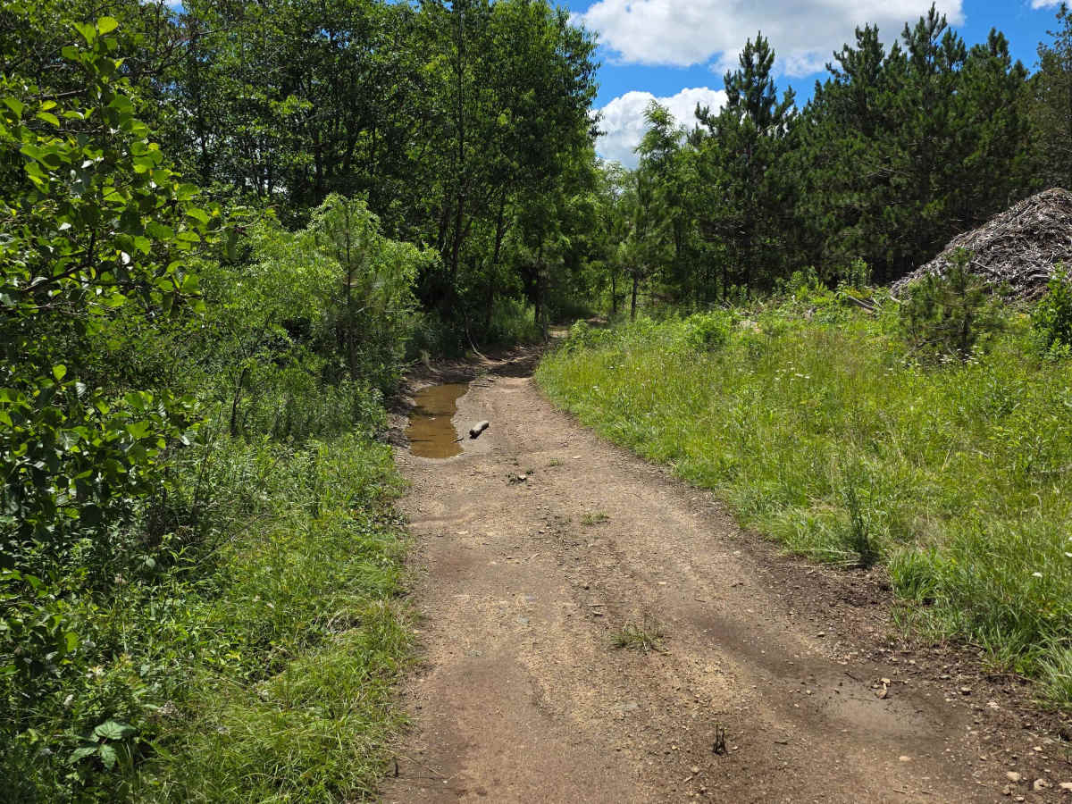 Single Track FF photo 5