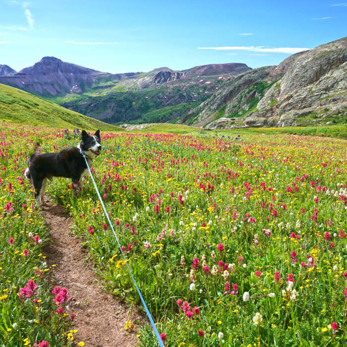Near Trinity and Silex Lake Route
