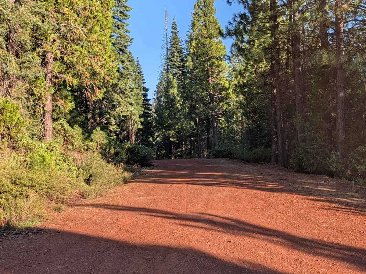 Porcupine Butte North - FS 41N36 photo 5