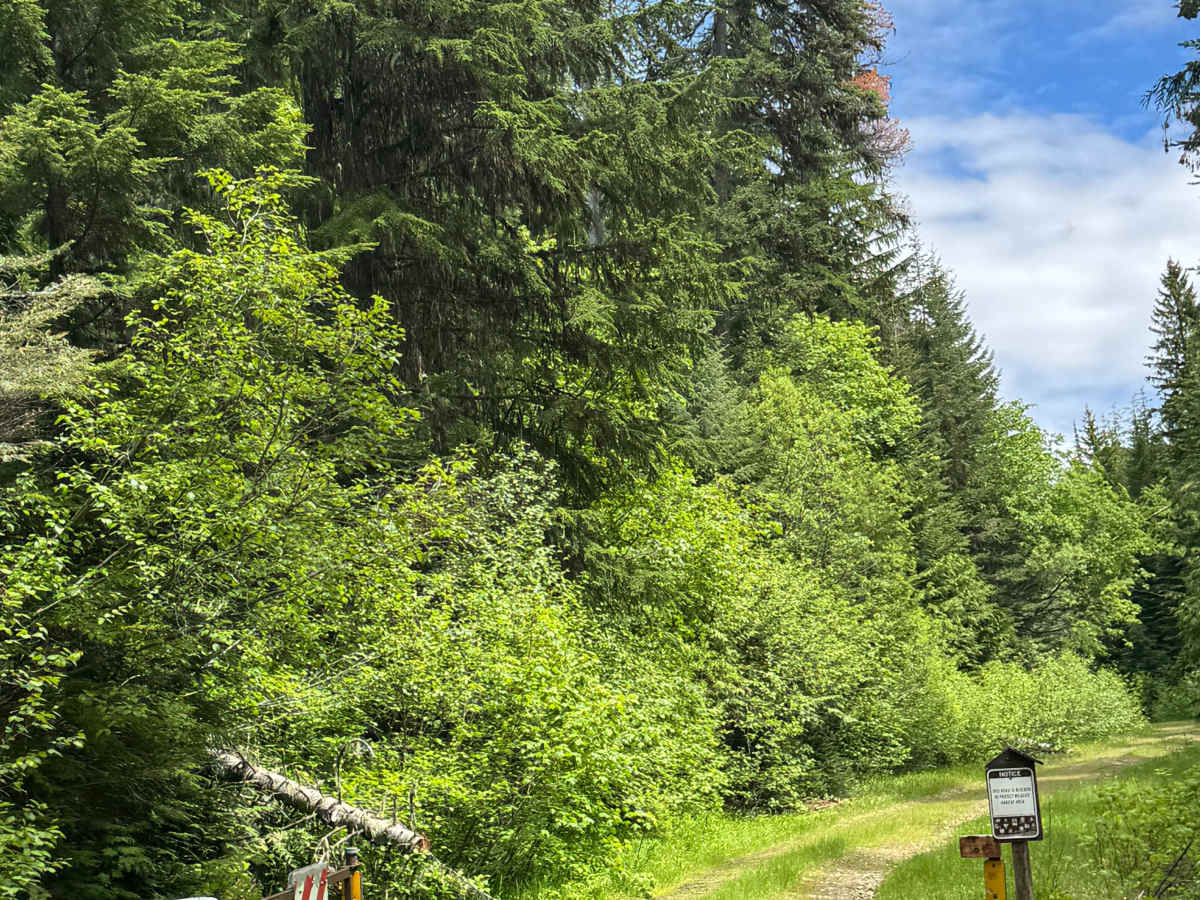 Bear Pasture - FS 2212-200 trail photo