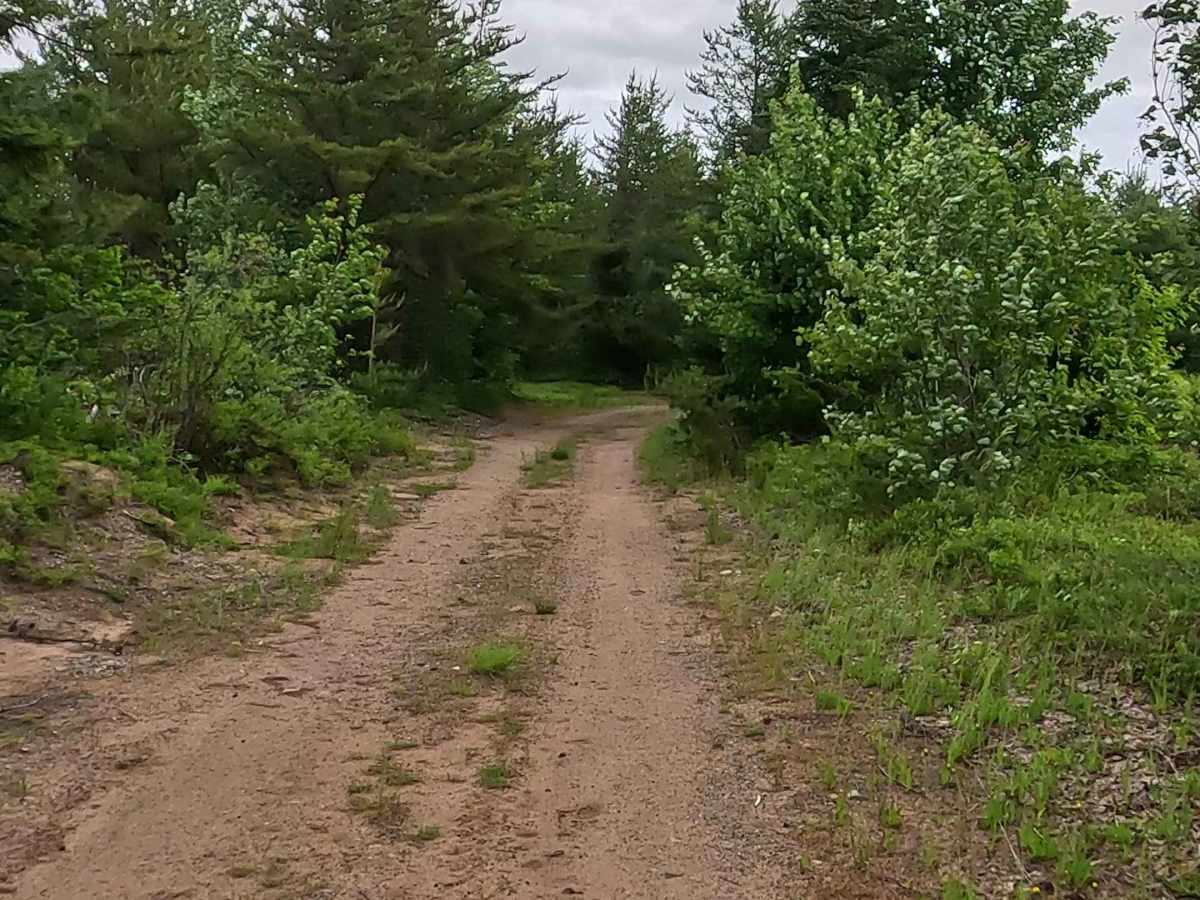 Eagle Mine Pass photo 3