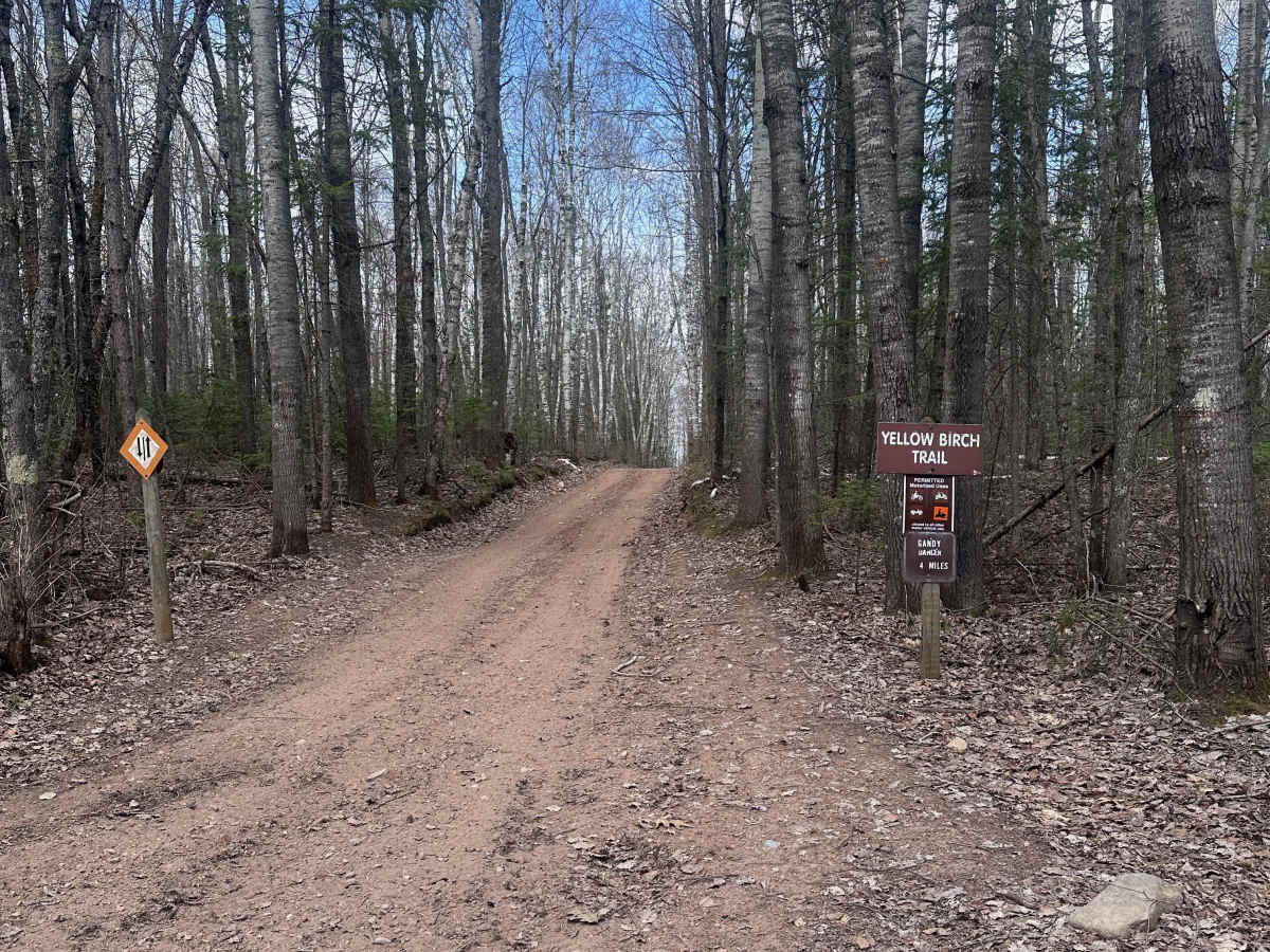 Yellow Birch Trail trail photo