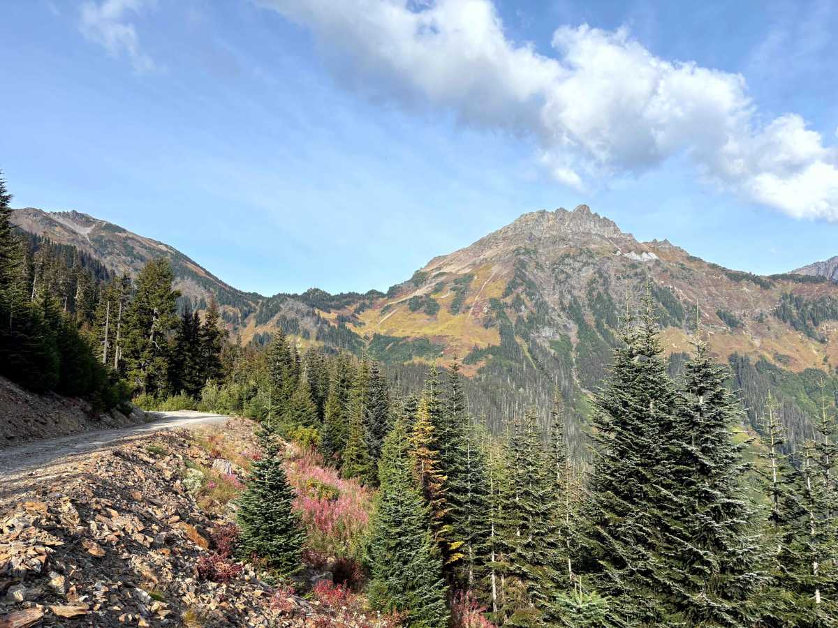 Mount Cheam Trailhead photo 5
