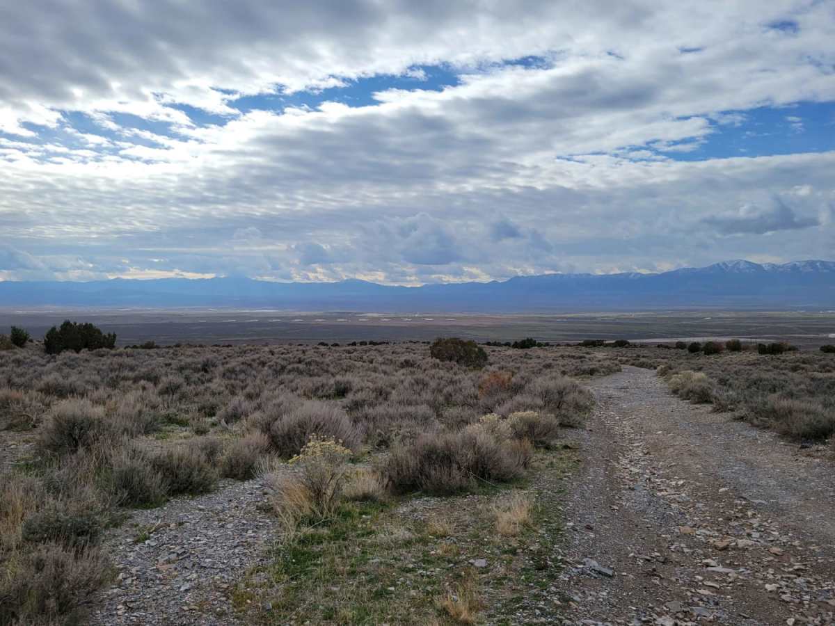 Dip Gulch Road photo 5