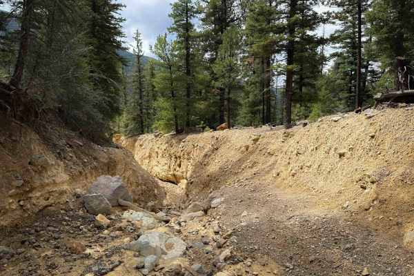 FS 195S Primitive Trail