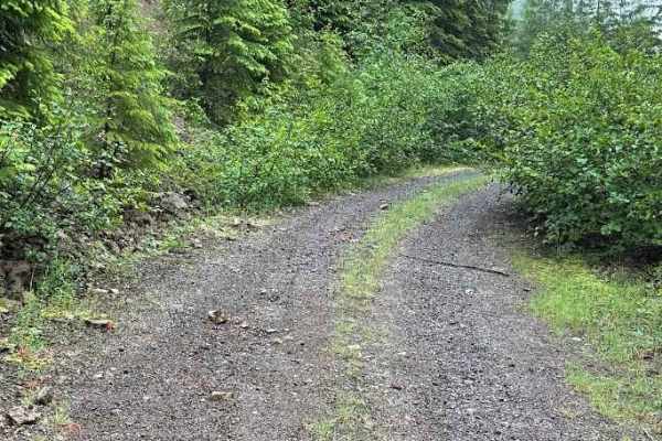 Line Road - FS 5403210