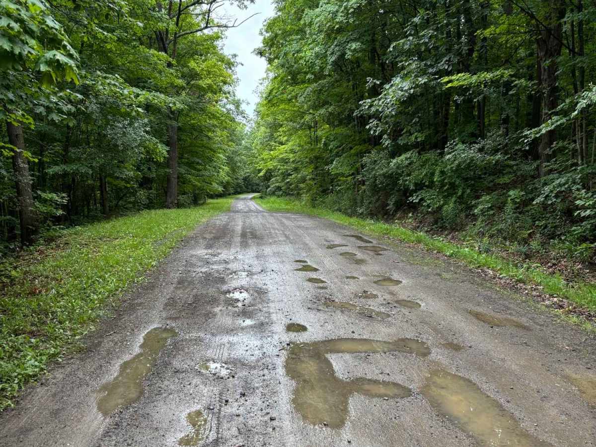 Warren Road photo 2