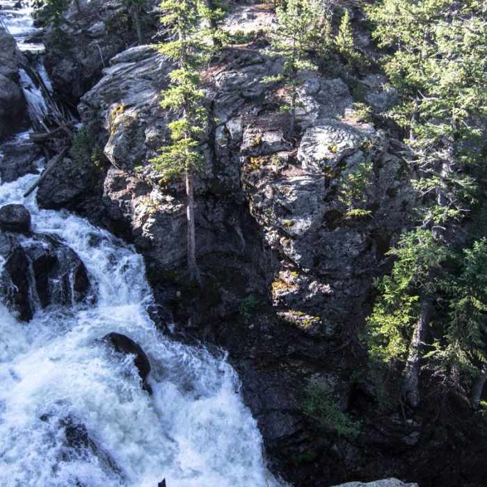 Near Adams Falls Loop