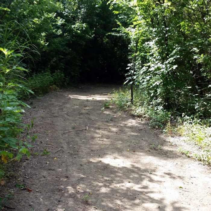 Around the back of the Pond Loop -- such easy trails! Near Campion Trail (North)