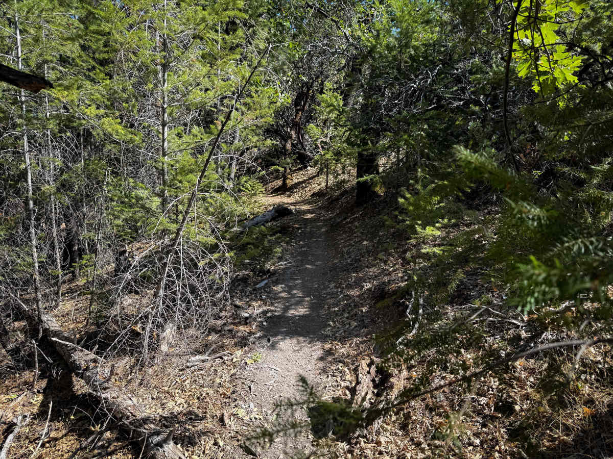 Trail 1-5 (11E51)  photo 5
