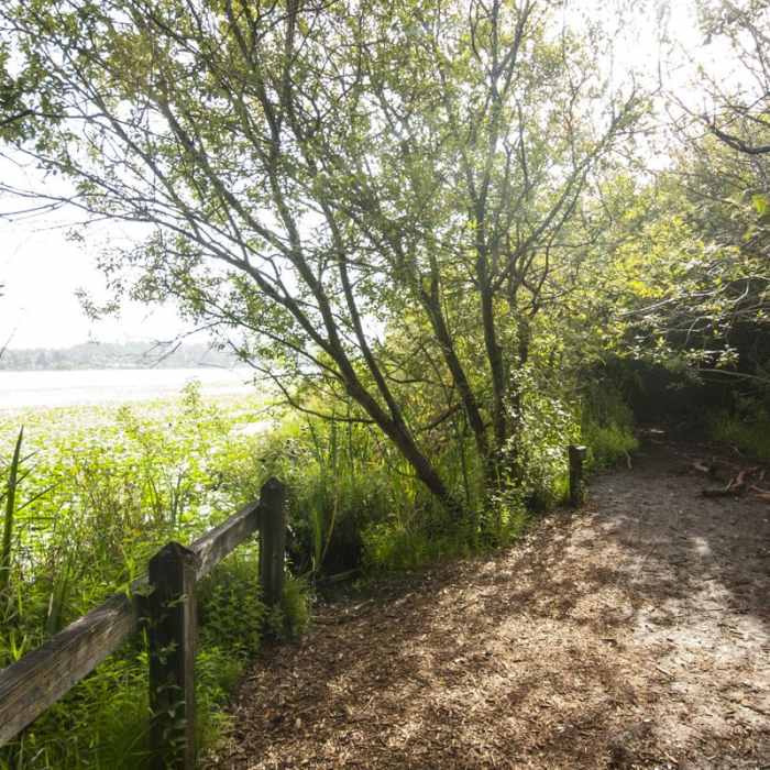 Near Arboretum Waterfront Trail