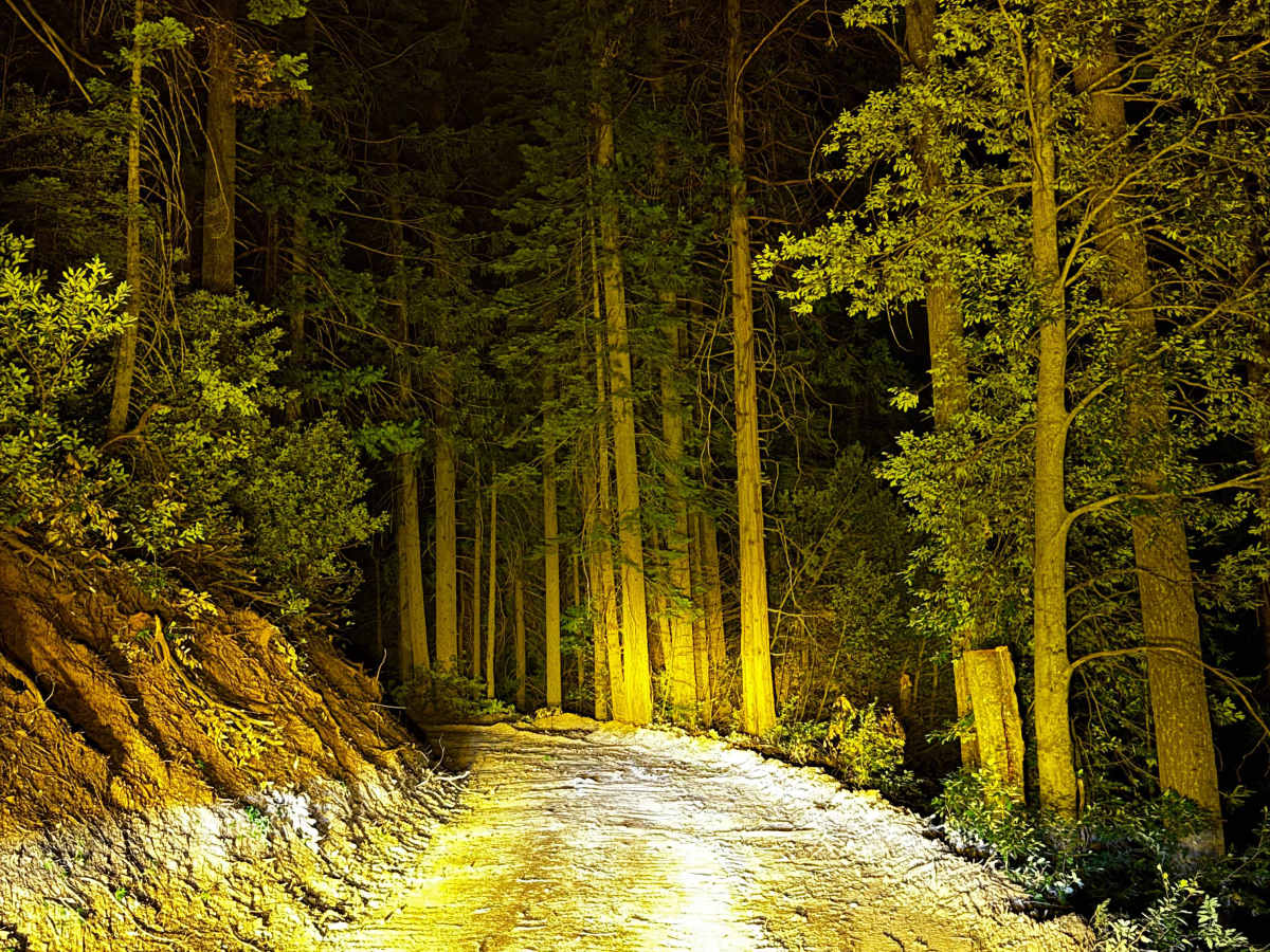 Ditch Road photo 2