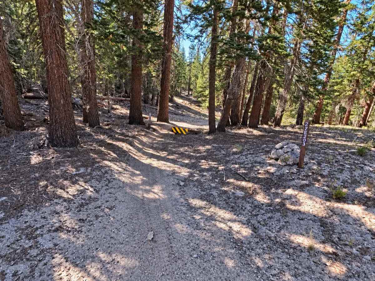 FS 27E203 trail photo