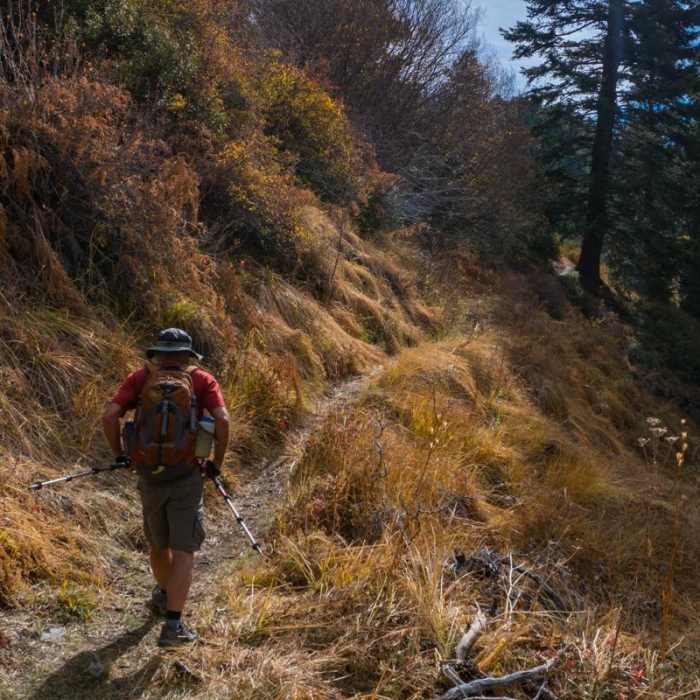Near San Gorgonio via Momyer Creek Trail + Vivian Creek Trail