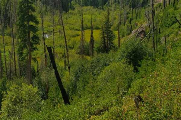 Jocko Canyon
