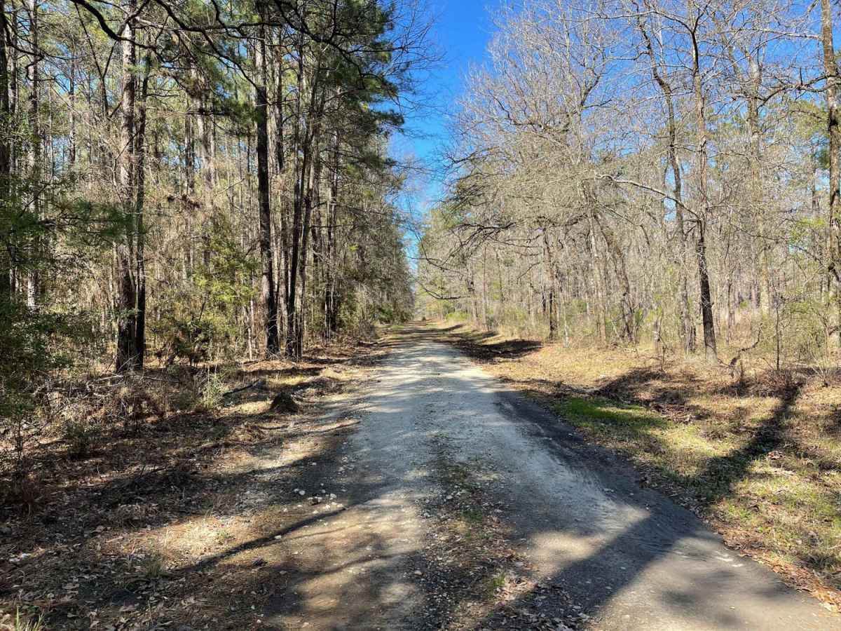 Graham Road photo 5