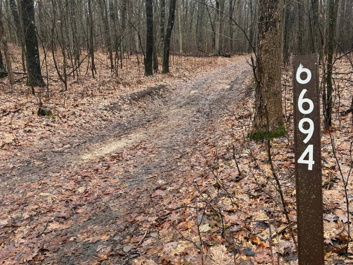 FS 6694 trail photo