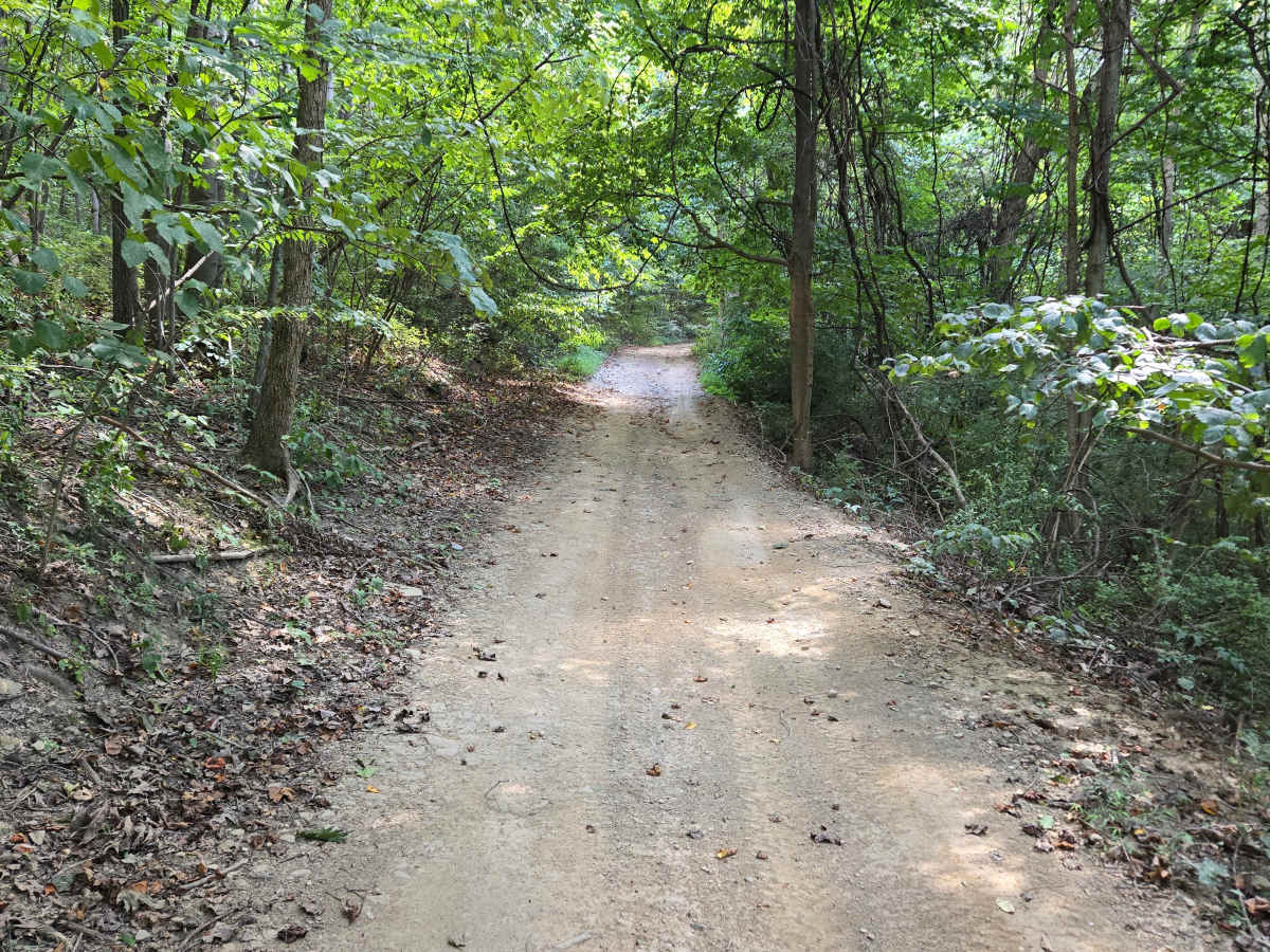 Trail 53 photo 4