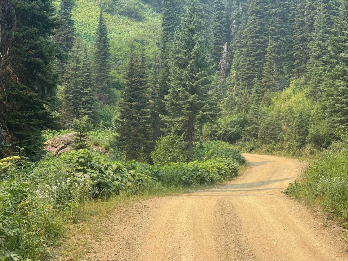 Shorty Creek - FS 589 photo 2