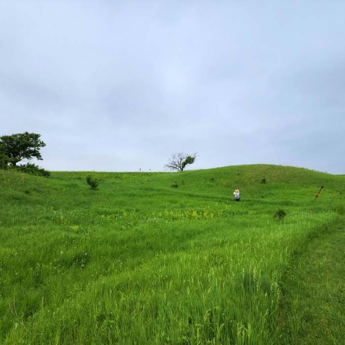 Near Hiking Club Route
