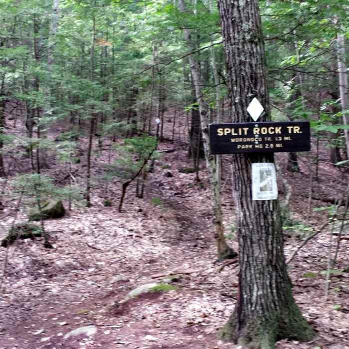 Split Rock / Shaw Trail intersection Near Shaw Trail