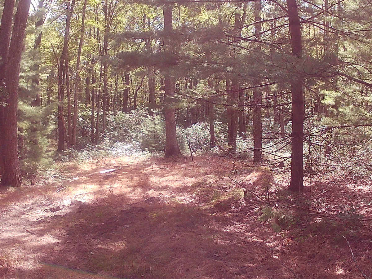 Rupp Hollow Road photo 3